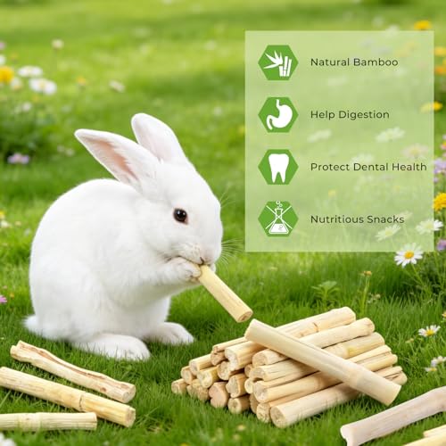 3lb Sweet Bamboo Chew Toy Natural Sweet Bamboo Animals Molar Chew Sticks Toys Pet Snacks Bamboo Sticks Treats - size: 3lb