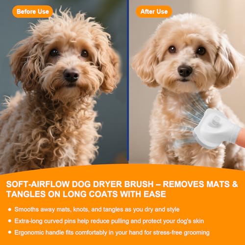 3-in-1 Pet Hair Dryer & Slicker Brush for Dogs & Cats – Portable, Professional, Adjustable Temp, Overheat Protection Dog Hair Dryer (pink) - color: pink