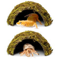 PINVNBY 2 Pack Natural Green Moss Hide Caves Coconut Reptile Hideouts Hamster Climbing Toys Gecko Habitat Decor Lizard Shell Shelter for Snake Tarantulas Turtle Chameleon - size: 2 PCS Moss Surface