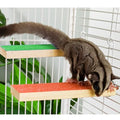 Sugar Glider Toys Cage Steps - Small Animal Climbing Steps Sharpening Claws Sugar Glider Enrichment Toys Scratching Snadpaper for Cages (Green + Orange) - color: Green + Orange