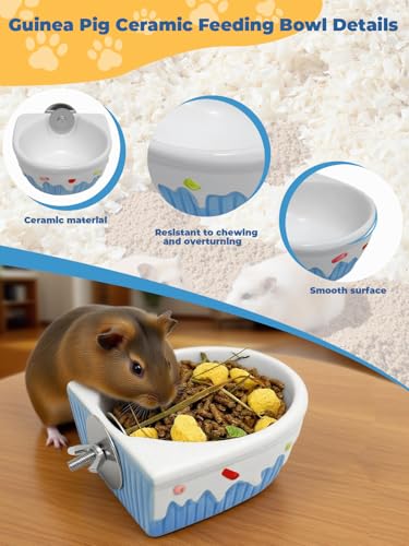 Chinchilla Food Bowl Ceramic Guinea Pig Cage Feeder Hanging Bunny Food Dish Small Animal Feeding Bowls for Syrian Hamster Ferret Gerbils (Blue) - color: Blue