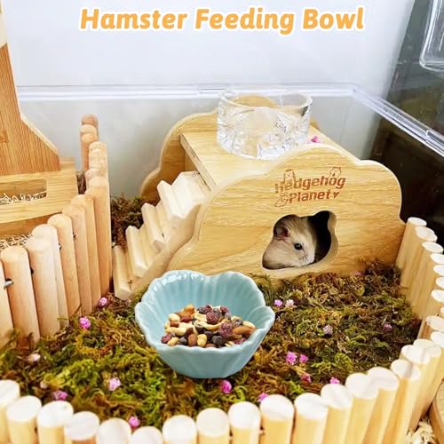 Tfwadmx 2 Pcs Hamster Food Bowl, Ceramic Pet Hamster Bowl Dwarf Hamster Food Bowl Feeder Hamster Water Rat Bowl Small Animal Food Dish for Golden Bears, Hedgehogs, Dutch Pigs, Parrots (Blue) - color: Blue