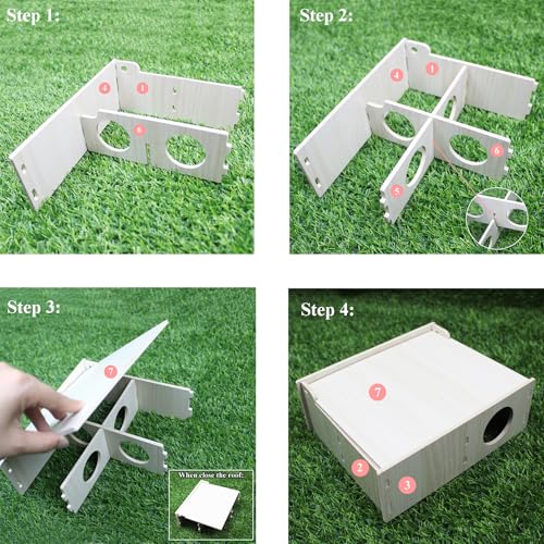 Amonk 7x8.6x3in Multi-Chamber with Play Tunnel Hamster House for Small Pets | Flip Cover Design, Multi-Chamber Hamster House, Secret Peep Shed with User Manual