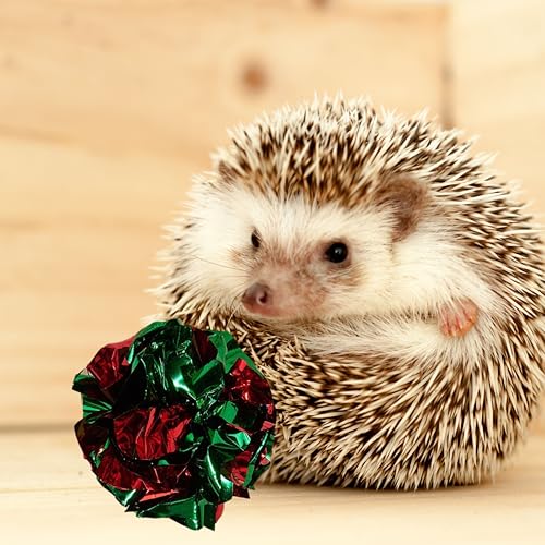 4 Pcs Toys for Hedgehogs Small Animal Accessories, Hedgehog Toys For Cage And Bell Ball, Hedgehog Enrichment Toy, Funny Balls Toy For Hamster Ferret Chinchilla Cat, Hedgehogs Accessories (Ball Bell)