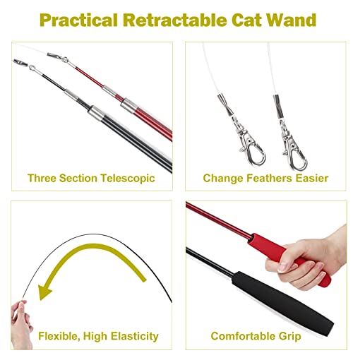 MeoHui Cat Toys for Indoor Cats, Interactive Cat Toy 2PCS Retractable Wand Toy and 9PCS Cat Feather Toys Refills, Funny Kitten Toys Cat Fishing Pole Toy for Bored Indoor Cats Chase and Exercise