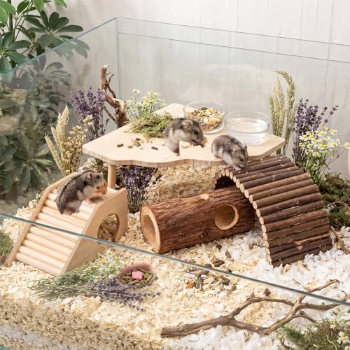 BreezeHug 4 Pcs Hamster Cage Accessories Hamster Platform Hideout Wooden Tunnel Ladder Playhouse Game Climbing Toy with Platform for Pets Dwarf Syrian Mice Degus Gerbils Squirrel(Hole) - style: Tree Hole