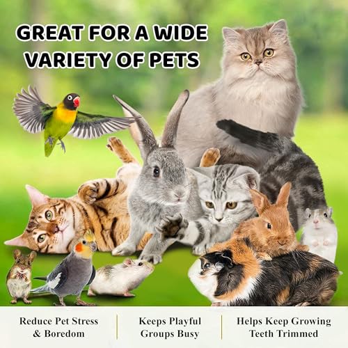 SunGrow 3 Pack Rabbit Chew Ball, Assorted Grass Teething Toy for Small Pocket Pet, Dental Wear Support, Boredom Relief Activity, Safe Woven Treat Enrichment for Bunny Guinea Pig Hamster Rat