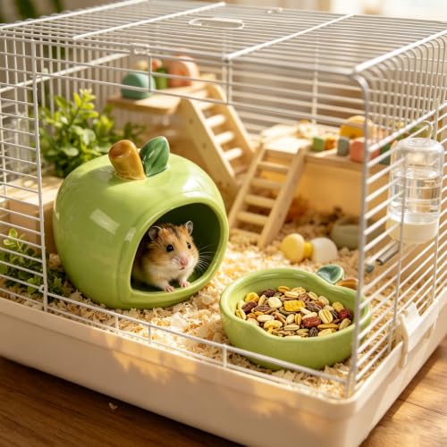 Ceramic Hamster Hideout & Food Bowl Set, Green | Apple-Shaped, Chew-Proof Sleeping Cave, Cooling Shelter Function, 2.9-inch Entrance, For Syrian Dwarf Hamsters, Mice - color: Green