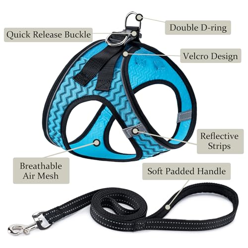Dog Harness with Leash Set, Step-in Adjustable Puppy Vest, Blue Stripe XXS | Lightweight Breathable Air Mesh, Night Safety Reflective, No Pull Puppy Vest Harnesses for Small Medium Large Dogs, Cats - color: Blue Stripe, size: XXS(Chest:10"-12")