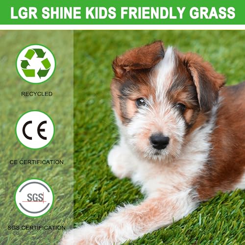 Artificial Grass Turf for Dogs 5 ft x 10 ft, 1.38 Inch Fake Grass Pee Pad for Potty Training, Extra Large Rug for Indoor/Outdoor Patio, Wee Wee Pad, Turf Mat for Pets - size: 5 ft X 10 ft