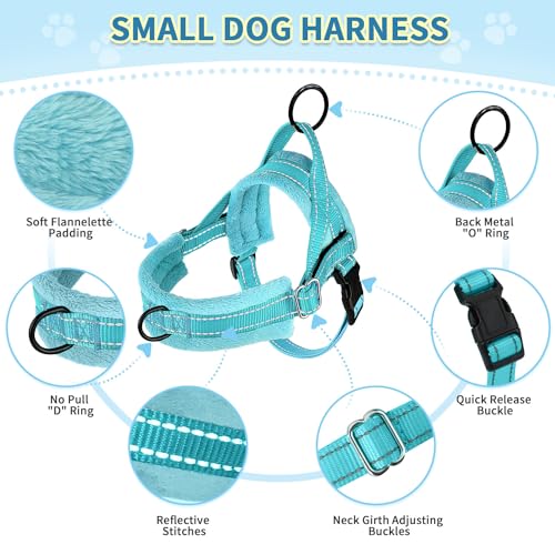 SlowTon No Pull Small Dog Harness and Leash Set with Front Clip | Soft Padded, Neck & Chest Adjustable, Lightweight, Anti-Twist, Puppy Vest Harness Pet Lead Combo for Small Medium Dog, TL XS - color: Teal, size: X-Small