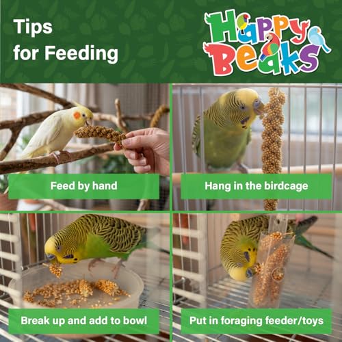 A&E Cage Co AE9054 French Spray Millet Bird Treat, 12 Sprays, 6 oz Bag | Grown in France, Natural Whole Sprays, Encourages Foraging, For Budgies, Cockatiels, Finches & Small Birds - size: 6 Ounce