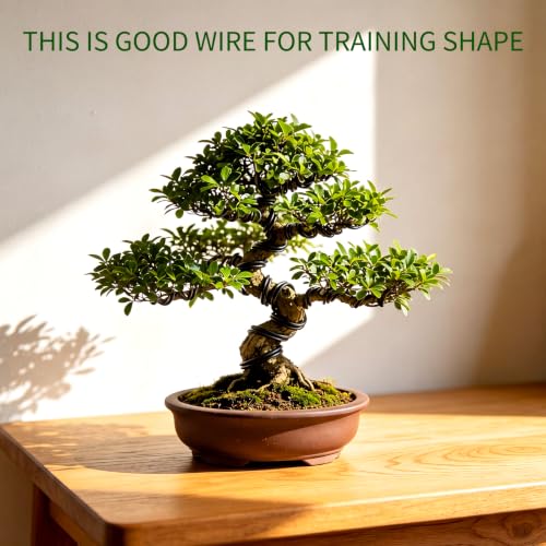 Mudder 5 Roll Aluminum Bonsai Training Wire Tree 1/1.5/2.0/4/6mm 85 Feet Total with Bonsai Wire Cutter Anodized Training for Holding Branches Small Trunks(Black) - color: Black, size: 1/1.5/2/4/6mm