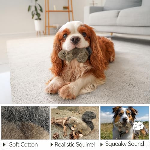 ALL FOR PAWS Squeaky Dog Toys, Plush Squirrel Dog Toy, Stuffed Animal Dog Toys for Small Medium Large Dogs, Soft Puppy Chew Toy with Squeaker - color: Squirrel(S)