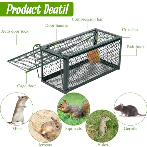 Qualirey 2 Pcs Humane Rat Trap Chipmunk Rodent Mouse Squirrel Trap,Green | 9.1 x 4.5 x 4.5 Inches Mouse Voles Hamsters Cage Rat Cage for Mice Easy to Catch and Release - color: Green