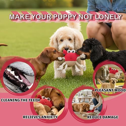 Plush Squeaky Crab Dog Toy with Rope Legs - 5.5''X9.5'' Durable Dog Chew Toy for Small Dogs | Built-in Whistle Sounds | Teeth Cleaning | Interactive Dog Toys （RED）