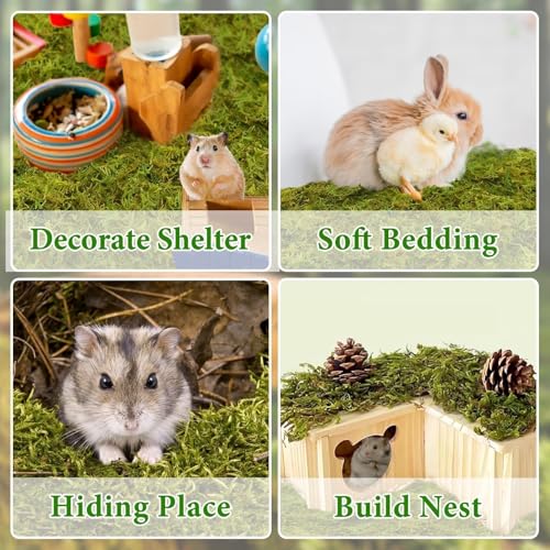 Halatool 12QT Hamster Moss for Bedding Nesting Hideout, Soft & Safe, 8OZ | Odor Control, Forest Moss for Rabbits Squirrels Guinea Pigs, Small Animals Cages, Terrariums, Reptiles, Plants - size: 8oz/12qt
