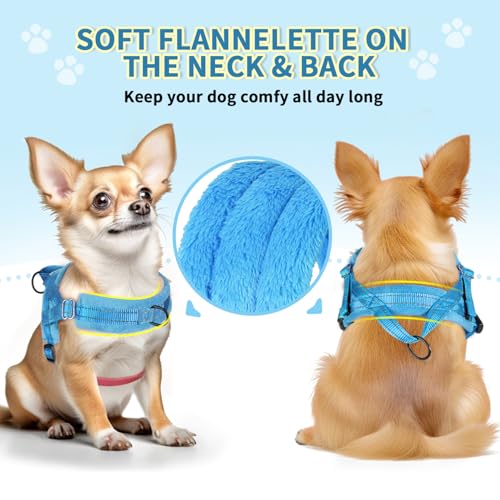 Lukovee Small Dog Harness and Leash Set, No Pull Soft Padded Vest | Both Neck & Chest Adjustable, Reflective, Puppy Harness with 4ft Lightweight Anti-Twist Dog Leash for Small Dogs (LBL, XXS) - color: Light Blue, size: XXS ( Chest 11.5'' ~ 15'')