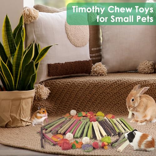 ERKOON 80PCS Bunny Chew Toys for Rabbits Teeth, Natural Rabbit Toys Apple Wood Sticks, Carrot, Timothy Grass Treats for Small Pets, Hamster, Chinchilla, Guinea Pig Dental Care and Treat Teething Toys - size: 80