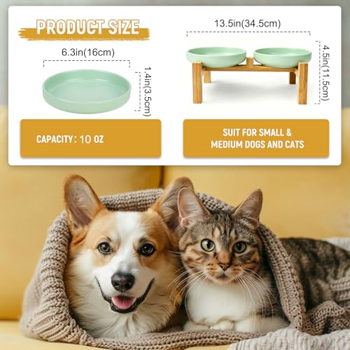 Shallow Elevated Cat Bowls with Bamboo Stand, 6.1 Inch Wide Ceramic Cat Dish Whisker Friendly, 2 Pack Pet Food and Water Plates - color: Mint Green elevated
