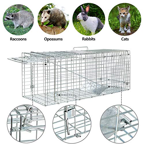 ANT MARCH 32'' Live Animal Cage Trap with Gloves Steel Humane Release | Rodent Cage Trap for Rabbits, Stray Cat, Squirrel, Raccoon, Mole, Gopher, Opossum, Skunk, Chipmunks, Groundhog