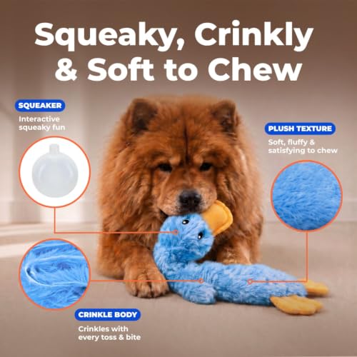 Best Pet Supplies Interactive Squeaky Dog Toy - Crinkle Duck, Blue | Stuffing Free Body, Soft, Squeaks & Crinkles, No Mess, Perfect for Moderate Chewers, Toss and Fetch Play - color: Crinkle Duck (Blue), size: Large