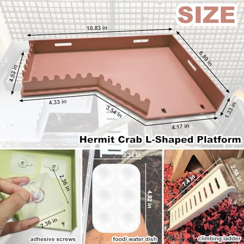 Hermit Crab Accessories - Platform with Ladder and Food Dish, Hermit Crab Climbing Toys, Habitat Supplies and Tank Accessories for Reptiles, Hamsters, Geckos, Small Lizards - color: Brown