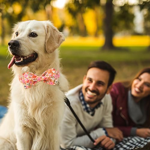 ARING PET Fall Dog Collar with Bow, Cute Daisy Floral Pet Collars with Quick Release Buckle for Puppy Small Medium Large Girl Boy Dogs-XS - color: Floral, size: X-Small (Pack of 1)