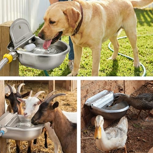 Automatic Dog Water Dispenser - Auto Filling Water Bowl for Dogs, Cats, Chickens and Livestock - Indoor Outdoor Pet Waterer Feeder with Float Valve