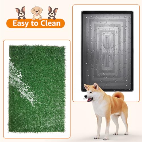 LOOBANI Dog Grass Pad with Tray - 20x30in for Potty Training | 2 Replacement Fake Grass Pads, Easy to Clean, Dog Litter Box, Balcony/Apartment/Indoor/Outdoor Use - size: Tray Potty 20*30inch