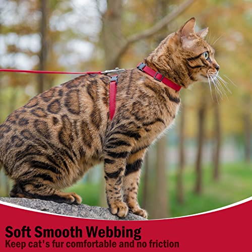 PUPTECK Adjustable Cat Harness and Leash Set Escape Proof Kitten Strap Collar for Walking Travel, Red - color: Red, size: Small