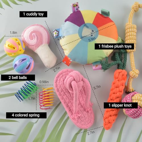 Ferret Toys Set Chew Rope Squeaky Exercise Toy Ferrets Rat Small Animals | 13 Pack Colorful Chew Teething Rope Squeaky Interactive Sound Chewing Balls Exercise Scratch Toys
