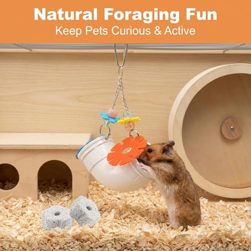 Rat Enrichment Toys, Wide Opening Rat Foraging Kit, Slow Feeder Hanging Fancy Mice Cage Accessories Puzzle Toy More Healthy, Easy-Clean Cage Accessories for Mice & Parrots