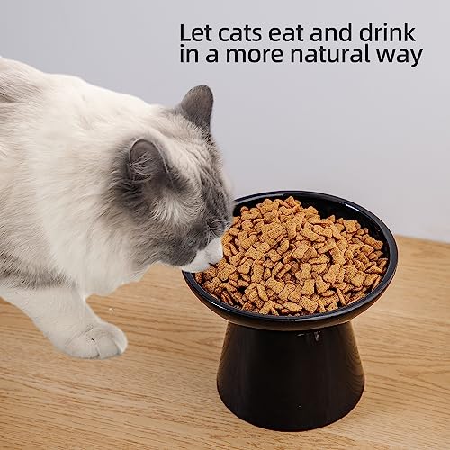 Ceramic Elevated Cat Bowls - 6.2 Inch Extra Wide Raised Cat Food and Water Bowl Set for Indoor Cats, Whisker-Friendly Ceramic Cat Dish for Elder Big Cats & Small Dogs,Black,1 Pack - color: Black, size: 1 Pack