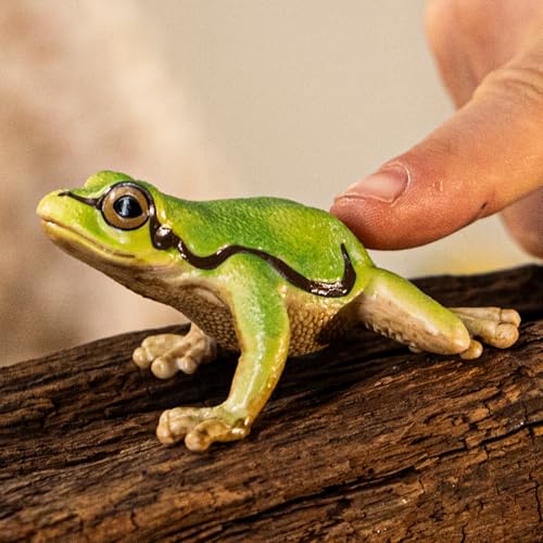 Schleich Wild Life - European Tree Frog Toy Figurine. Realistic Hand-Painted Animal Toys for Boys and Girls. Durable Educational Wolf Figure for Imaginative Play. Kids and Toddlers Ages 3+ 14882
