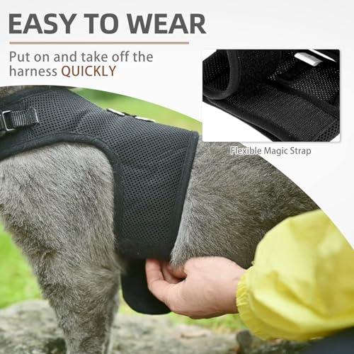 PUPTECK Soft Mesh Cat Vest Harness and Leash Set Puppy Padded Pet Harnesses Escape Proof for Cats Small Dogs Rabbits Bunny, Black Medium - color: Black, size: M(NECK 7", CHEST 10.5", 4-6 lbs)