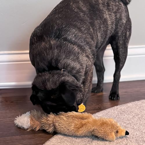 SPOT Skinneeez Fox – 14" Stuffing-Free Plush Squeaky Dog Toy for Small & Medium Dogs, Best for Light to Moderate Chewers, Mess-Free Play - style: Mini Fox