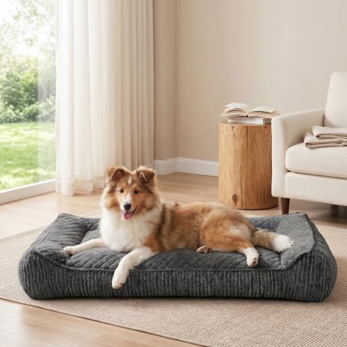JOEJOY Orthopedic Dog Bed for Medium Dogs, Extra Thick Foam Dog Couch Bed | Bolster Sides | Washable Removable Cover | Non-Slip Bottom | Grey, 35''x25'' - color: Grey, size: L(35"L x 25"W x 8"Th)