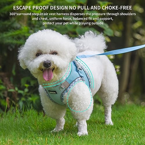 Small Dog Harness - Breathable Double-Layer Jacquard No-Choke Vest, Durable Anti-Tear Fabric with Reflective Trim - Perfect for Running, Parties, Daily Walks (Blue, XS) - color: Blue, size: XS(Chest: 11.5 - 13.5")