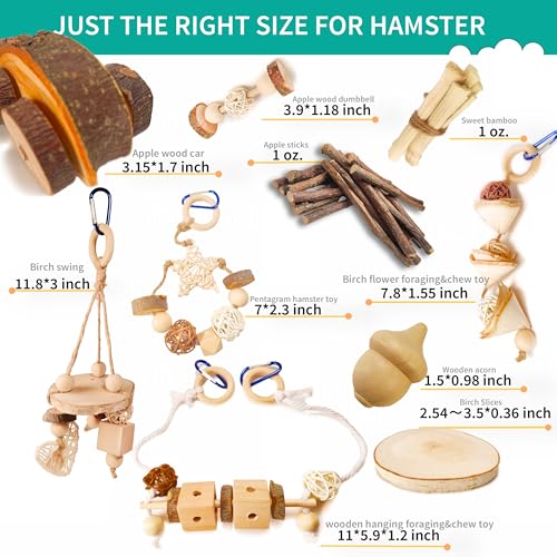12 PCs Hamster Toys for Hamster, Gerbils, Mice, Rats, and Other Small Animals - Natural Molar Chew Toys to Promote Teeth Grinding, Reduce Boredom and Anxiety - style: Style-G