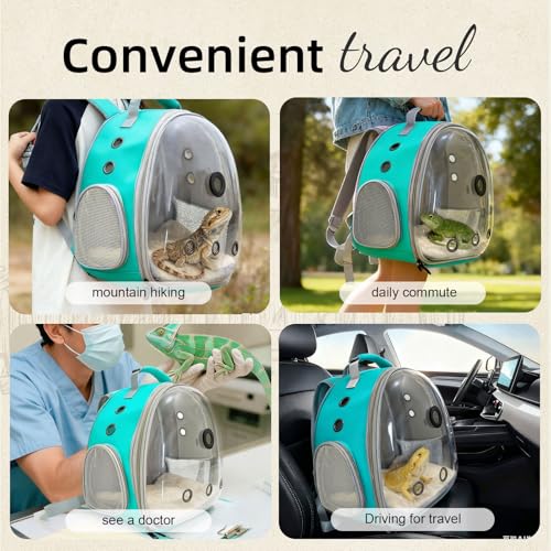 Reptile Travel Backpack Carrier with Reptile Thermometer and Humidity Gauge & Harness Leash Lizard Travel Cage Space Capsule Clear Bubble Window Astronaut Bearded Dragon Bag for Ball Python - color: Green