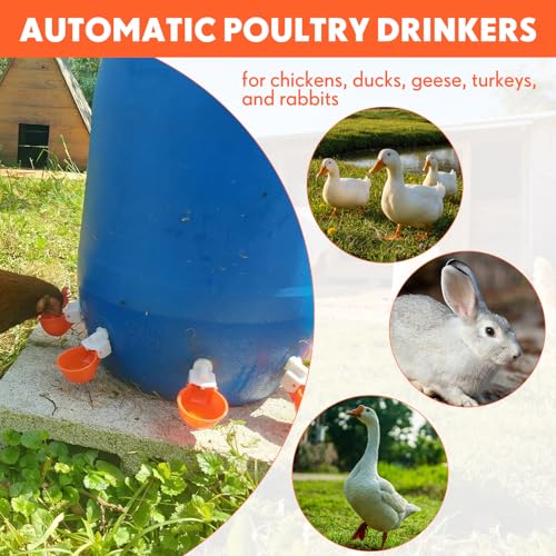 LemonRoad 30 Set Automatic Chicken Waterer Cups with 1/2" PVC Tee Fitting Chicken Drinking Bowl, Poultry Drinker Mounting Hole Opener,Water Dispenser Feeder for Duck, Goose, Turkey, Pigeon(Orange) - color: Orange