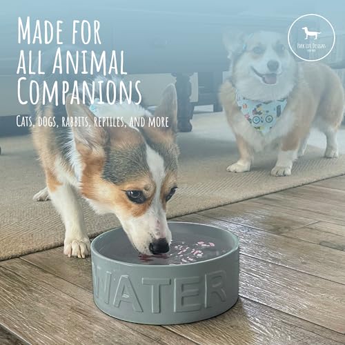 Ceramic Pet Bowl for Dogs and Cats, Food and Water Dish, 8 Cup Capacity, Large, Grey, Dishwasher and Microwave Safe - color: Grey, size: Large