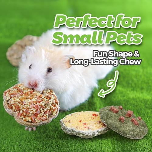 TEEWY Cookie Guinea Pig Toys, Natural Vegetables, Fruits and Timothy, Hamster Chew Toys for Teeth, Hamster Chews for Guinea Pig, Gerbil, Chinchilla and Rat, 3PCS - style: 3PCS-Cookie