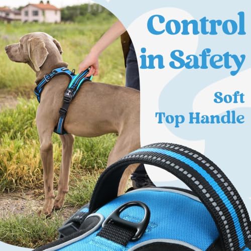 rabbitgoo Dog Harness Small Sized, Updated Easy On & Off with 3 Buckles | No Pull No Choke, Walking with 2 Clips and Handle, Adjustable Soft Reflective, Sky Blue, Small - color: Sky Blue, size: Small