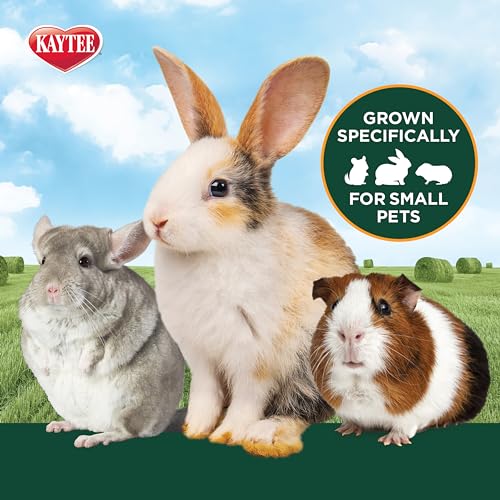 Kaytee First Cut Timothy Hay, High Fiber, Grown Specifically for Small Animals, Rabbits, Guinea Pigs, Chinchillas, 6.5 Pounds - style: 1st Cut Hay