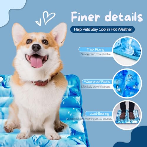 Dog Cooling Mat 2.0, Double-Sided Non-Slip Pet Cooling Pad, Washable and Durable, Indoor & Outdoor Summer Cooling Mat for All Pets, Keep Dogs and Cats Cool and Comfortable (29.5" x 29.5")