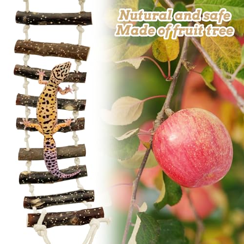 VCEPJH 2pcs Reptile Bridge Leopard Gecko Climbing Ladder Wooden Basking Lounger Reptile Tank Accessories for Hermit Crab Juvenile Bearded Dragon Chameleon Small Lizard (Fruit Wood)