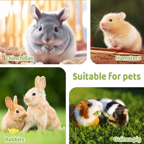 Small Animal Carrier Bag, Portable Pet Travel Bag with Shoulder Strap & Removable Mat for Hamsters Sugar Gliders Flying Squirrel