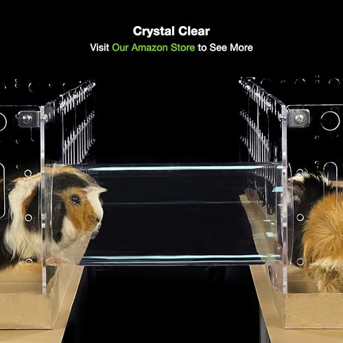 GuineaLoft™ Acrylic Tube Connector Pack - D2 Tube & T4D2 Panels | Includes 1 D2 Acrylic Tube & 2 T4D2 Connector Panels